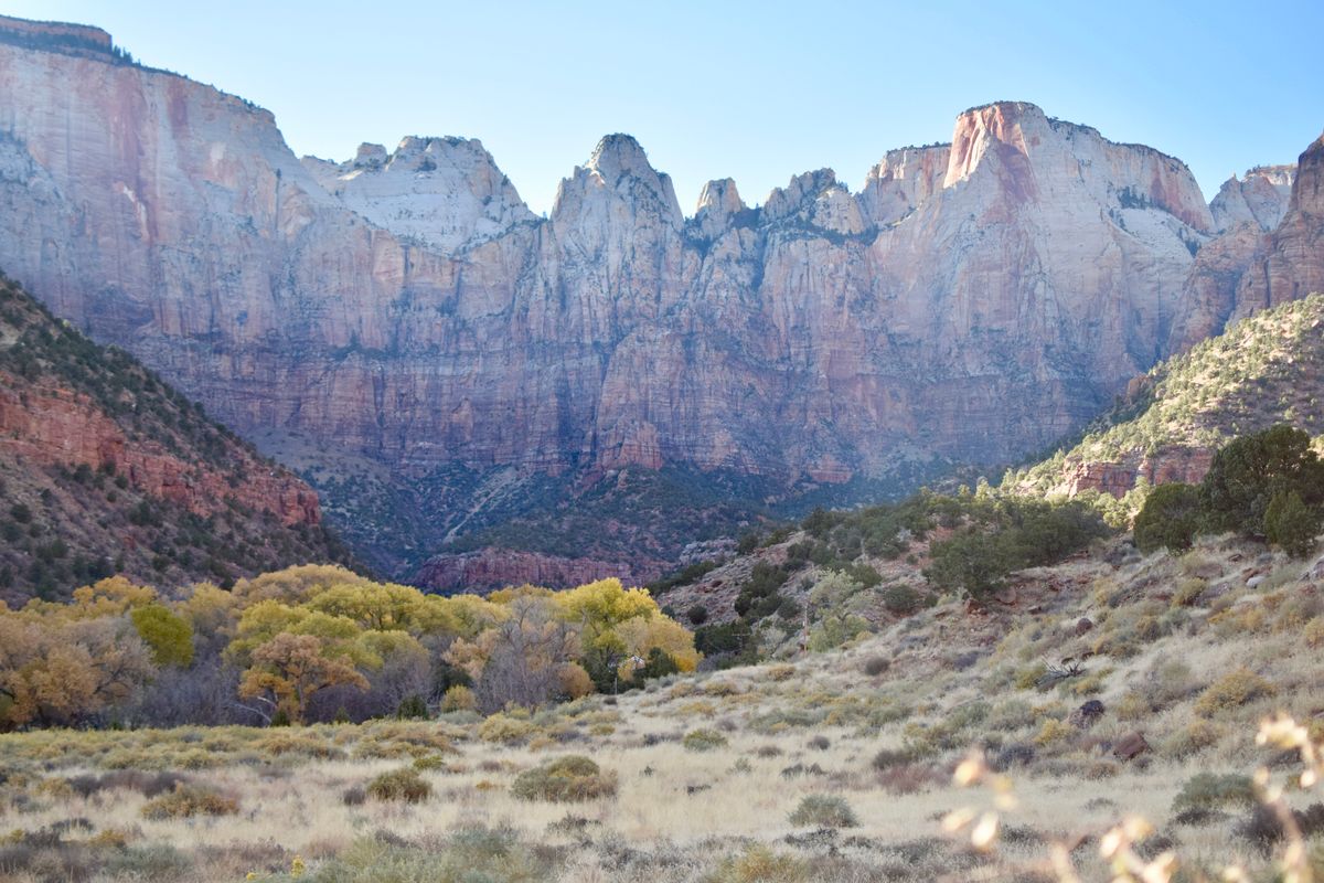 Zion National Park with Baby