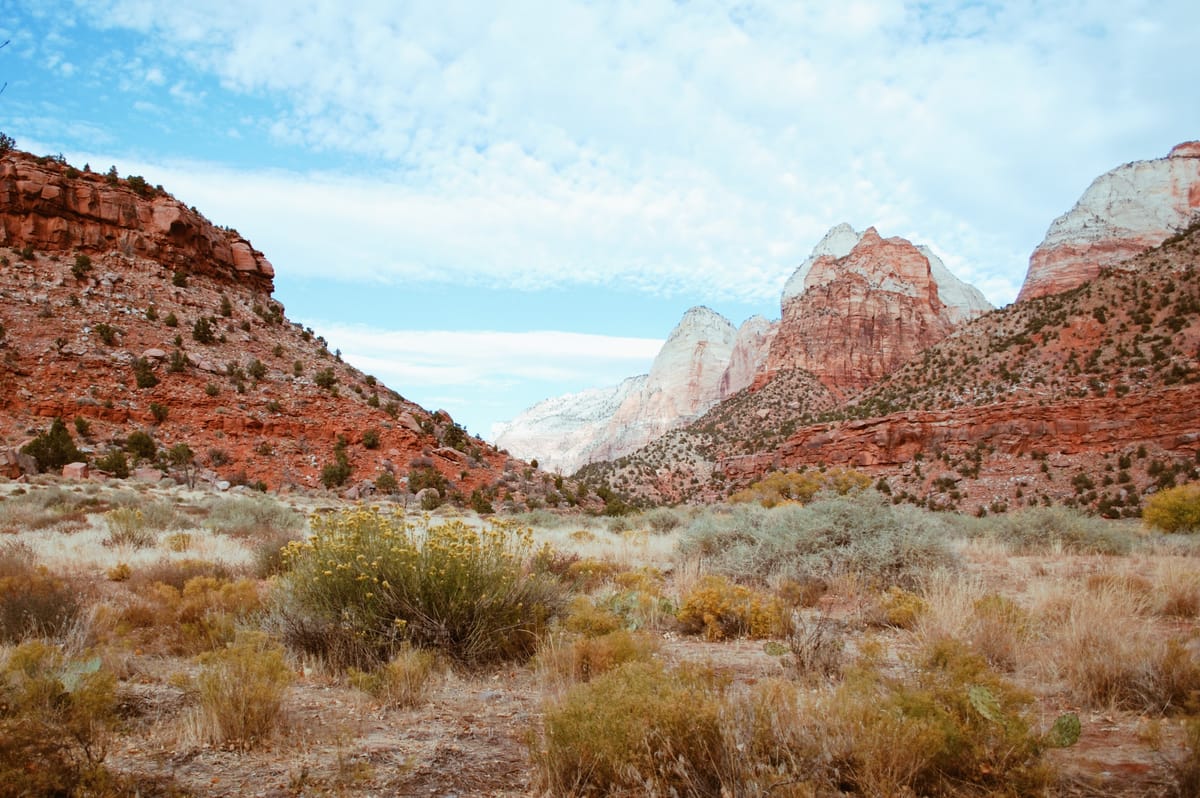 Ruach in The Wilderness