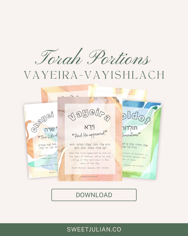 Torah Portion Journal: Vayeira-Vayishlach