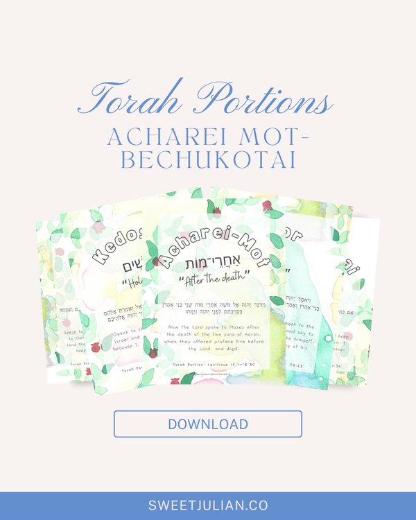 Torah Portion Journal: Acharei Mot-Bechukotai