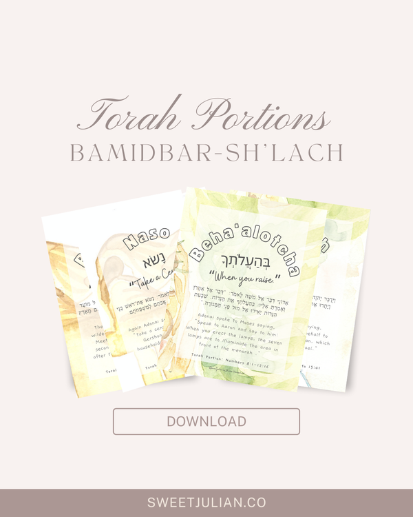 Torah Portion Journal: Bamidbar-Sh'lach 🎉