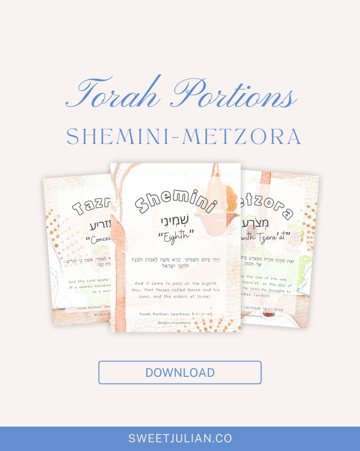 Torah Portion Journal: Shemini-Metzora